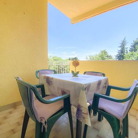 Appartement Olga à Novigrad Istria Extérieur photo
